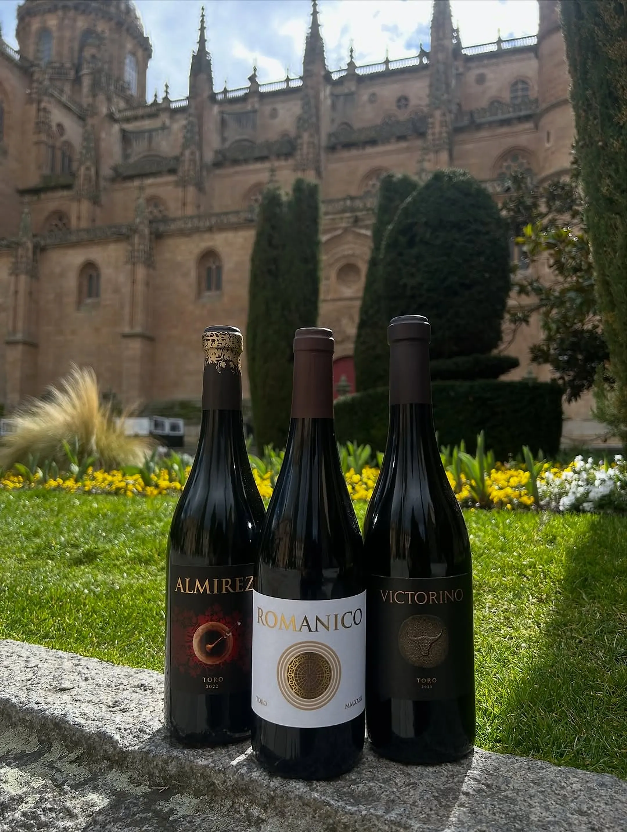 Vinos de la casa ante la Catedral de Salamanca